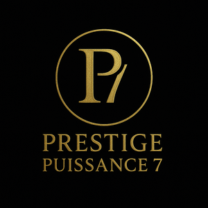 Prestige Puissance 7 Gretz-Armainvilliers, Transport de personnes