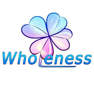 Jörg Schmidt Metz, Professionnel indépendant