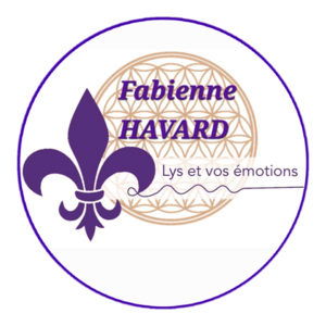 Fabienne Havard Boulange, Professionnel indépendant